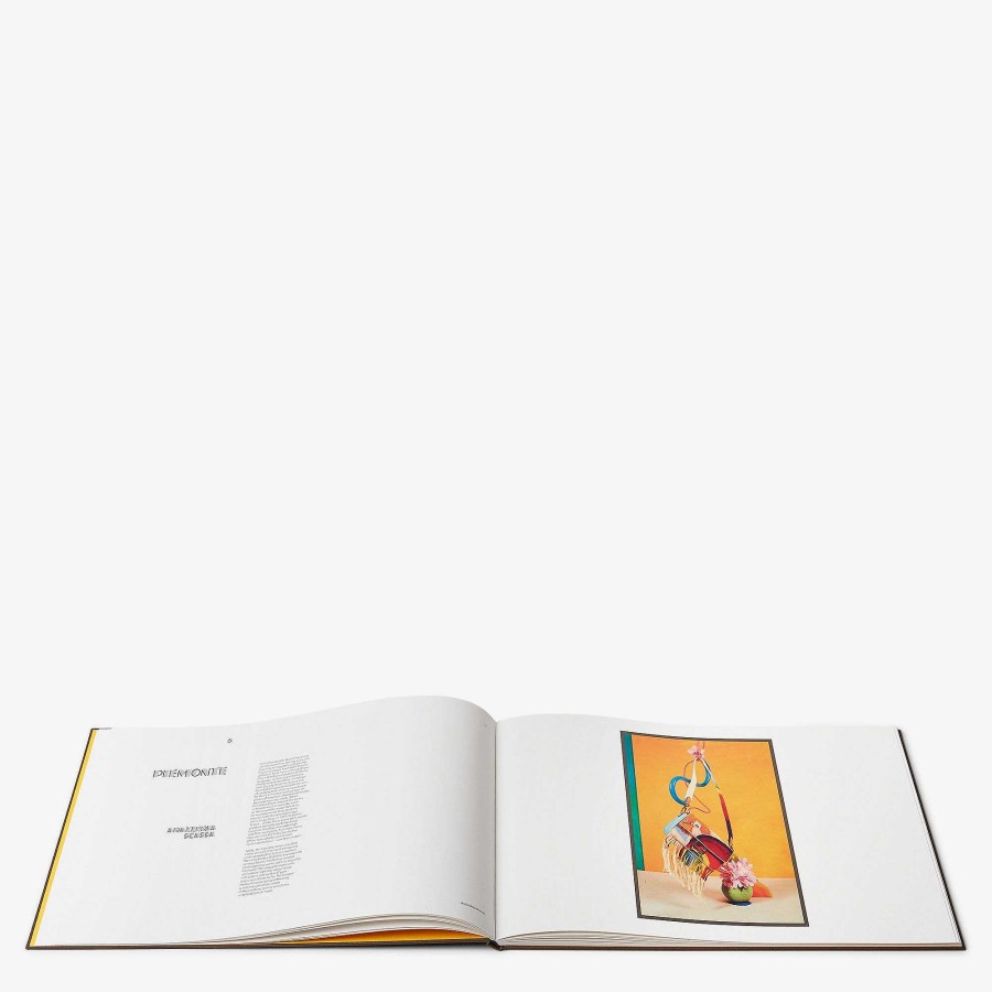 Women Fendi Books | Book